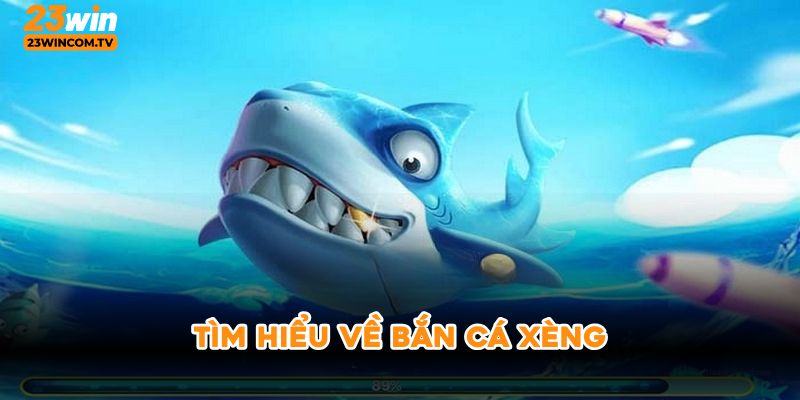 Tìm hiểu về bắn cá xèng