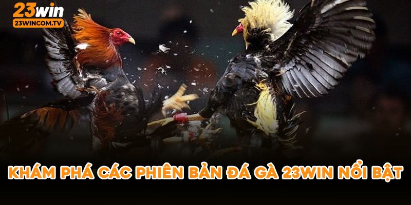 Khám phá các phiên bản đá gà 23win nổi bật